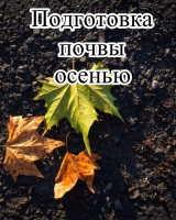 Органическое удобрение Универсальное (1л) + Почвенный биофунгицид Оргамика Ф (1 л)