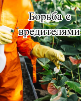 Биоинсектицид Биоcлип БВ (1 л) + СУПЕРПРИЛИПАТЕЛЬ (1л)