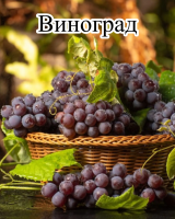 Почвенный биофунгицид Оргамика Ф (1 л) + Биофунгицид Оргамика С (1 л) + Регулятор роста Биодукс (1 мл) + Биофунгицид Псевдобактерин 3 (1 л) + Микробиологическое удобрение Органит Н (1 л) + Микробиологическое удобрение Органит П (1 л) 