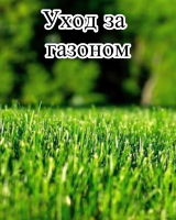 Почвенный биофунгицид Оргамика Ф (1 л) + Биофунгицид Оргамика С (1 л) + Органическое удобрение Универсальное (1л) + Биофунгицид Псевдобактерин 3 (1 л)