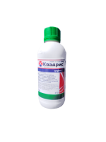 КВАДРИС, СК