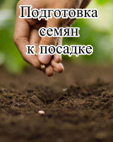 Органическое удобрение Универсальное (1л) + Регулятор роста Биодукс (1 мл) 