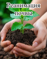 Биодеструктор гербицидов Рестарт (10л) + Органическое удобрение Универсальное (1л)