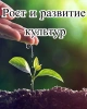 Биофунгицид Псевдобактерин 3 (1 л) + Органическое удобрение Универсальное (1л) + Регулятор роста Биодукс (1 мл) + Микробиологическое удобрение Органит П (1 л)