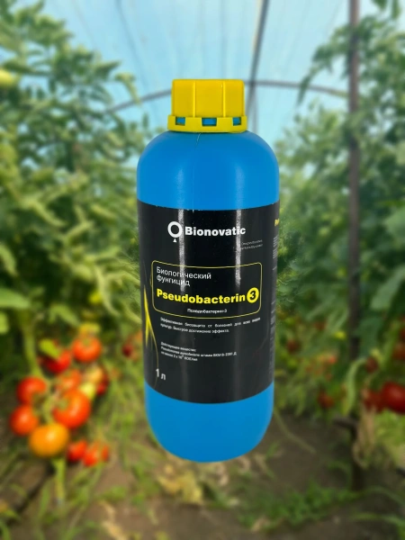 Регулятор роста Биодукс (1 мл) + Почвенный биофунгицид Оргамика Ф (1 л) + Биофунгицид Оргамика С (1 л) + Биофунгицид Псевдобактерин 3 (1 л) + Микробиологическое удобрение Органит Н (1 л) + Микробиологическое удобрение Органит П (1 л)