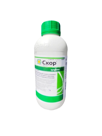 СКОР, КЭ
