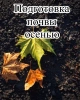 Органическое удобрение Универсальное (1л) + Почвенный биофунгицид Оргамика Ф (1 л)