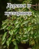 Микробиологическое удобрение Органит Н (1 л) + Микробиологическое удобрение Органит П (1 л) + Биофунгицид Оргамика С (1 л) + Органическое удобрение Универсальное (1л) + Регулятор роста Биодукс (1 мл) + Биофунгицид Псевдобактерин 3 (1 л) 